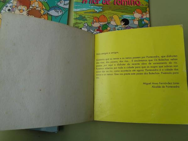 4 libros OS BOLECHAS VAN DE VIAXE