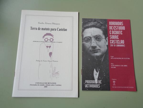 Terra de matute para Castelao (lvarez Blzquez) / Programa das Xornadas de Estudio e debate sobre Castelao (no 50 cabodano)