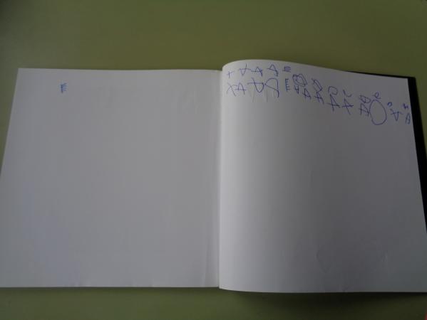 ELENA COLMEIRO. Catlogo exposicin, Pontevedra