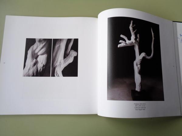 ELENA COLMEIRO. Catlogo exposicin, Pontevedra