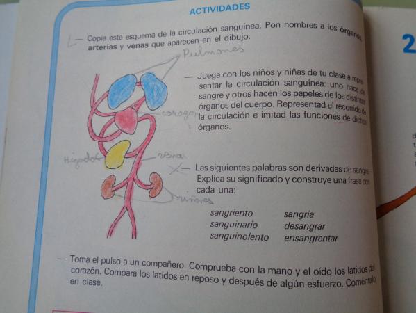 ALFEIZAR 5 E.G.B. (ANAYA, 1982)