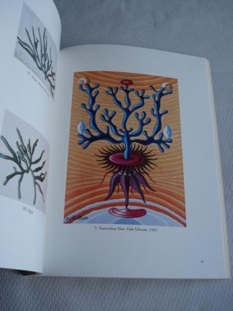 Maruja Mallo. Naturalezas Vivas 1941-1944. Catlogo Exposicin Junio.Julio de 2002. Galera Guillermo de Osma, Madrid/ Setembro-Outubro de 2002. Fundacin Caixa Galicia, Vigo