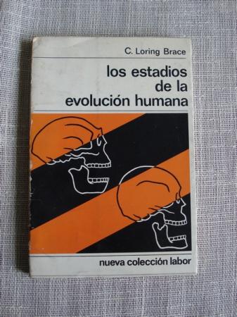 Los estadios de la evolucin humana