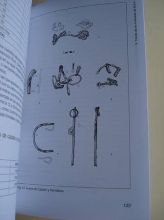 La Necrpolis Celtibrica de Vias de Portu (Osma, Soria) 