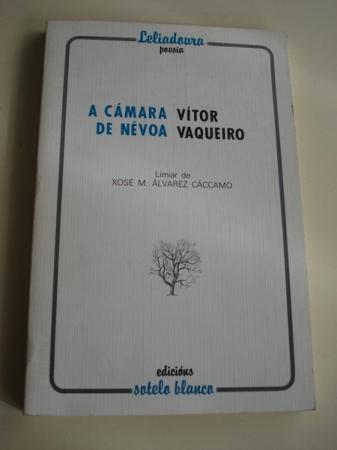A cmara de nvoa