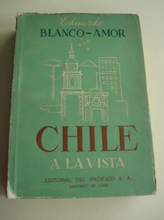 Chile a la vista