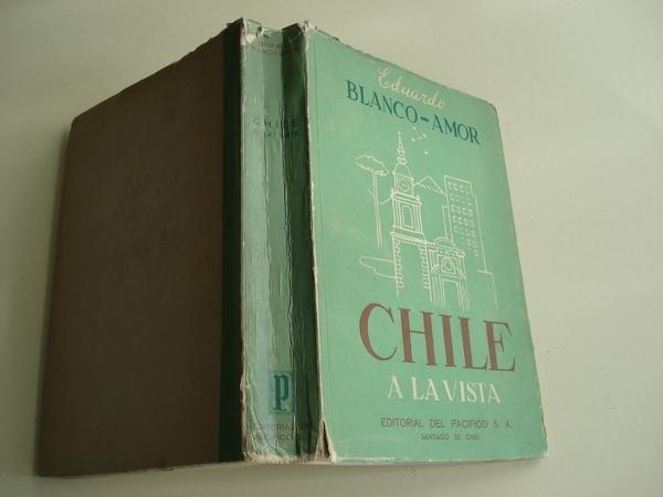 Chile a la vista