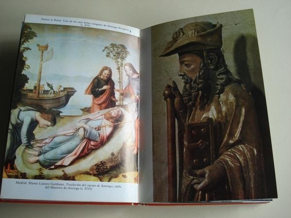 El Camino de Santiago