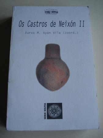 Os Castros de Neixn II (Galicia)