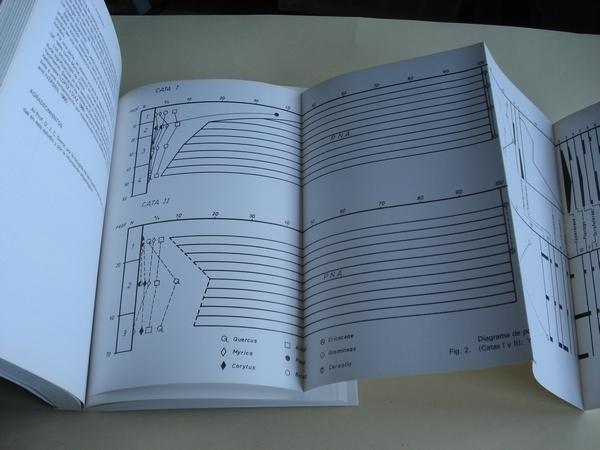 BRIGANTIUM. Boletn do Museo Arqueolxico e Histrico de A Corua. Volume 6. Ano 1989-1990