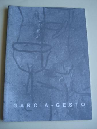 Temas caseros. Catlogo exposicin Galera Clrigos, Lugo, 1999