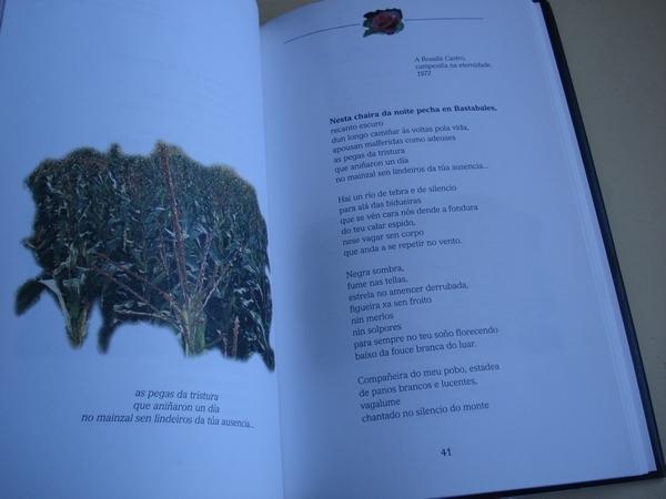 Cantos de ausencia. Elexas (1959-2002)