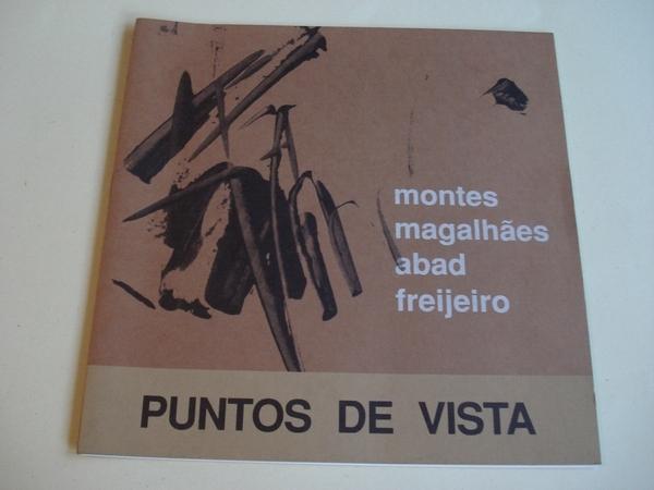 Puntos de Vista.  MONTES - MAGALHES - ABAD - FREIJEIRO. Catlogo Exposicin Castelo de Souto maior (Pontevedra), 1994