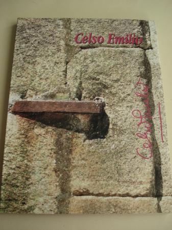 Celso Emilio Biografa e estudos da obra