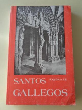 Santos gallegos - Ver os detalles do produto