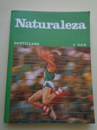Naturaleza 6 EGB (Santillana, 1980) - Ver os detalles do produto