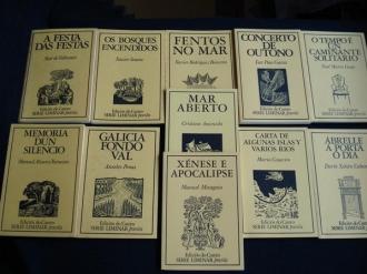 Poesa Galega do Noso Tempo (11 libros en estoxo) - Ver os detalles do produto