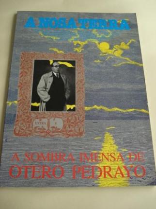 A sombra imensa de Otero Pedrayo - Ver os detalles do produto