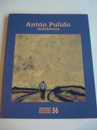 ANTN PULIDO. ANTOLXICA. Catlogo Exposicin, Vigo, 2014 - Ver os detalles do produto